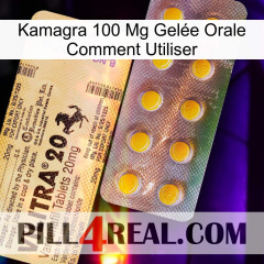 Kamagra 100 Mg Gelée Orale Comment Utiliser new06